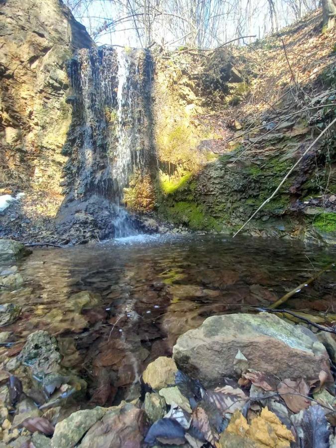 Гостьовий будинок Skriveni Raj Горні-Мілановац Екстер'єр фото