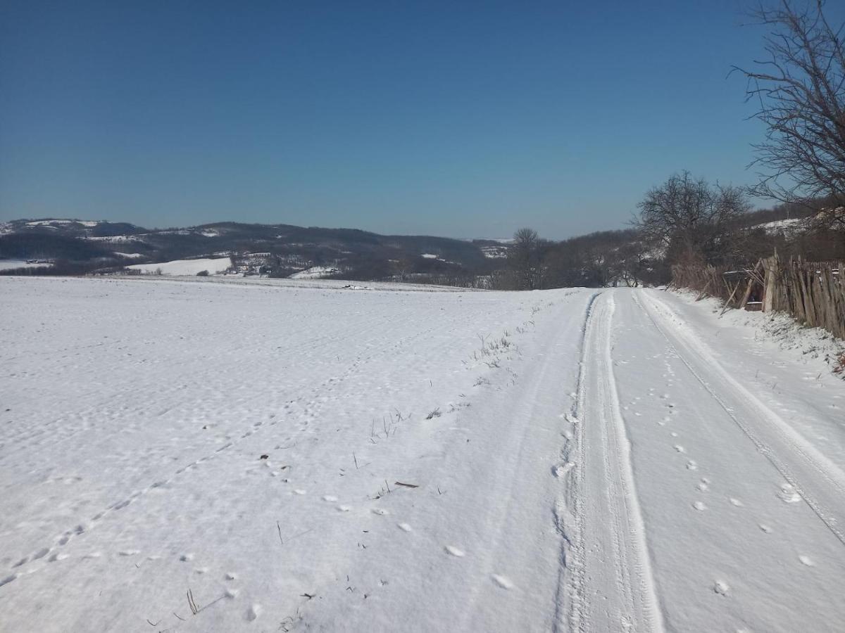 Гостьовий будинок Skriveni Raj Горні-Мілановац Екстер'єр фото